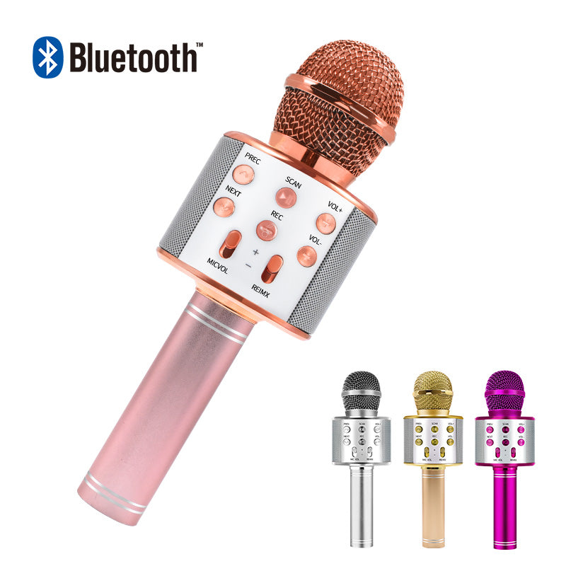 Bluetooth Karaoke Microphone